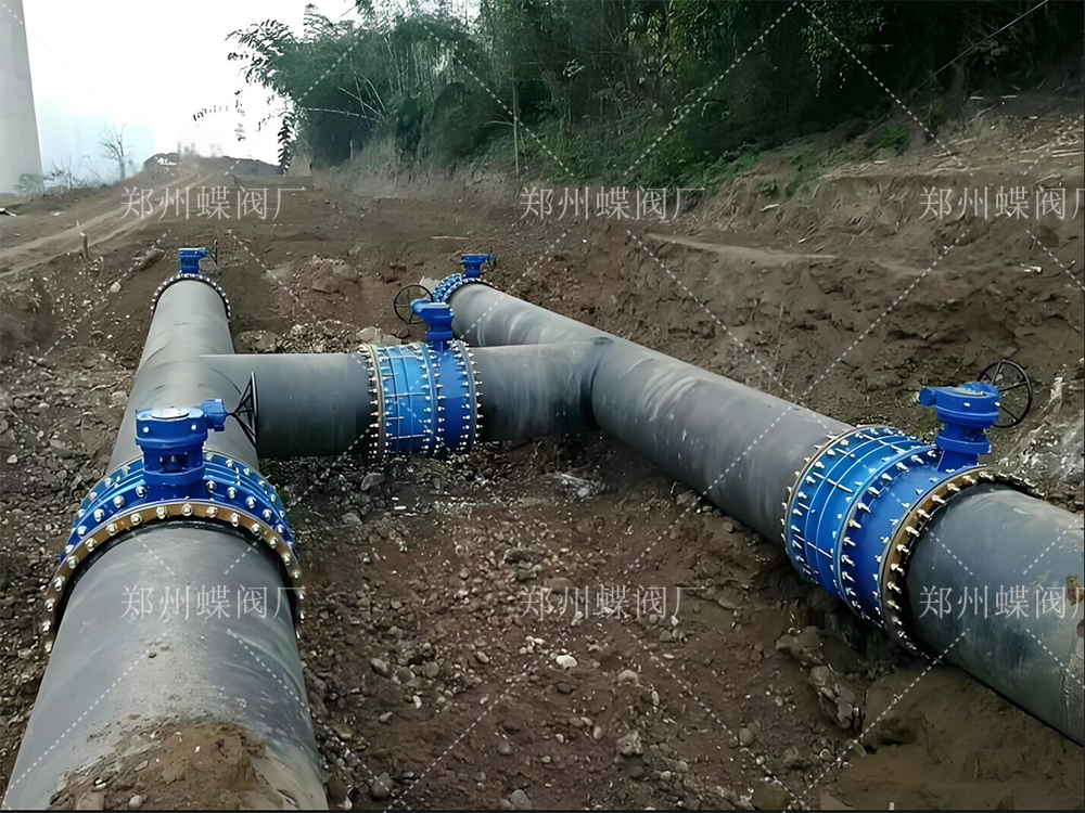 郑州蝶阀厂与新疆某建筑公司达成合作，专业实力赢得信赖(图文)